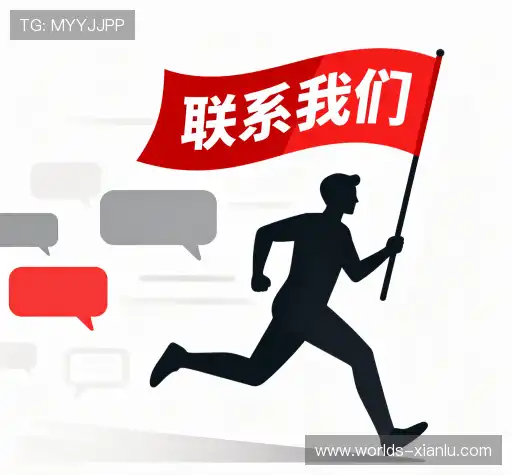 咨询交流